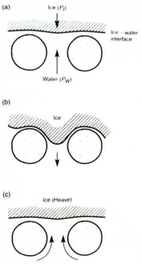 Figure 4 – Processus de formation de la glace de pores et de la glace de ségrégation. (a) Interface glace/eau dans le milieu ; (b) Formation de la glace de pores, l’espace entre les particules du milieu est suffisamment important pour que le front de gelag
