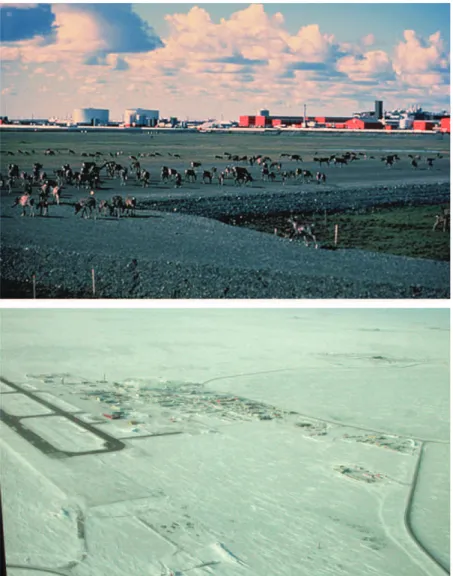 Figure 2.2 – Région d’étude de North Slope (Alaska) en été et en hiver.
