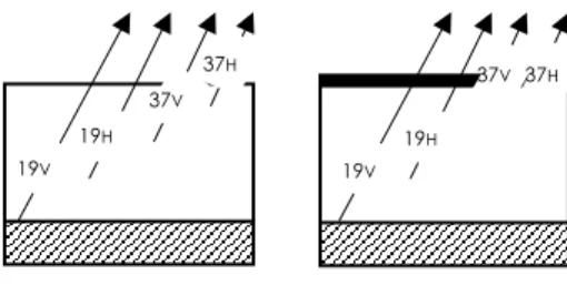 Figure 2-3: Schéma général de la réponse micro-onde; (1) manteau neigeux sec, (2) manteau  neigeux humide en surface 