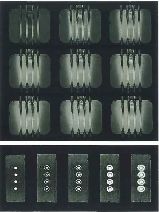 Figure 10.  Haut:  Images IRM prises  à  la suite d'injection de 500 µL d'une solution de Gd- Gd-DTP A  à  0,5  M  dans  la  chambre  de  culture  du  bioréacteur  contenant  un  gel  de  fibrine