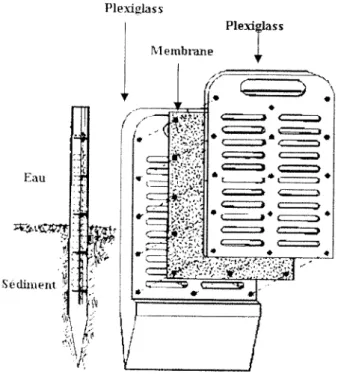Figure 2.6  :  Schéma d'un dialyseur. 