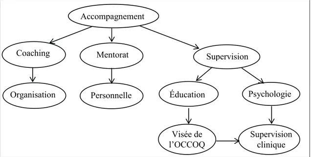 Figure 6 – Différentes formes d’accompagnement 