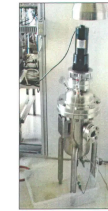 Figure 3  Hydrolyseur de 10  litres conçu par EBR (Québec, Canada). 