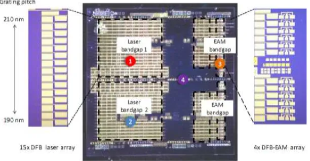 Figure 1. 1 Top view of a PIC chip fabricated on the Si platform [S. Jain, et al. 2011]