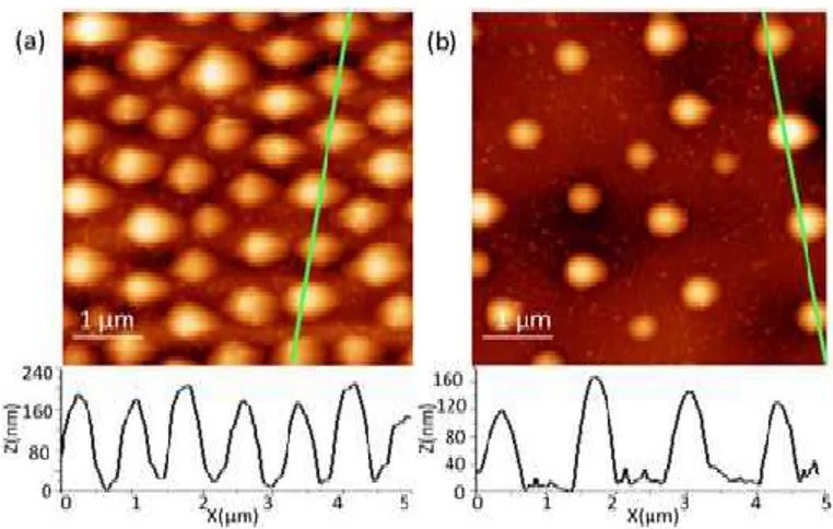 Figure 4. 4 AFM images of the central (a) and the edge (b) regions of a site irradiated with 400 pulses of the KrF 