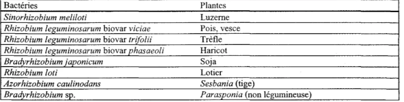 Tableau  1:  Spécificité de  différentes souches  à  leur plante hôte (Pelmont,  1993) 
