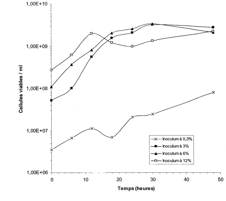 Figure 6:  Croissance  de  S.  meliloti  A2  lors  de  plusieurs  fermentations  de  48  heures  à  29°C  et  200  rpm  d'agitation en erlenmeyers contenant  100 ml de boues secondaires (BS)  de  la CUQ (21/1012001)  à 0,66% de MES avec des inocula de 0,3,