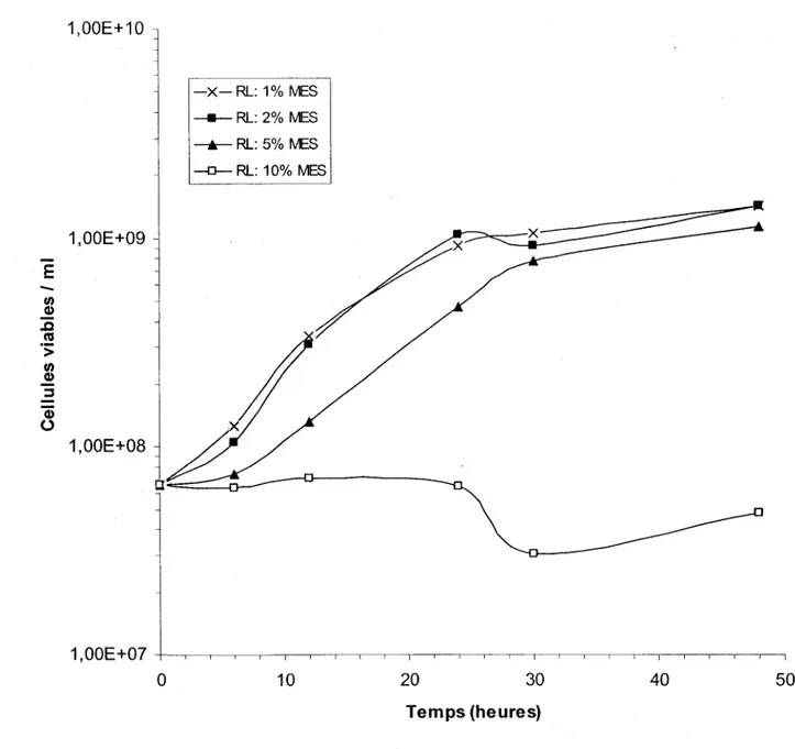 Figure 10  : Croissance  de  S.  meliloti  A2  lors  de  plusieurs  fennentations  de  48  heures  à  29°C  et  200 rpm  d'agitation  en  erlenmeyers  contenant  100 ml  de  résidus  de  levure  (RL)  (Unibroue  18/10/2001)  avec différentes concentrations