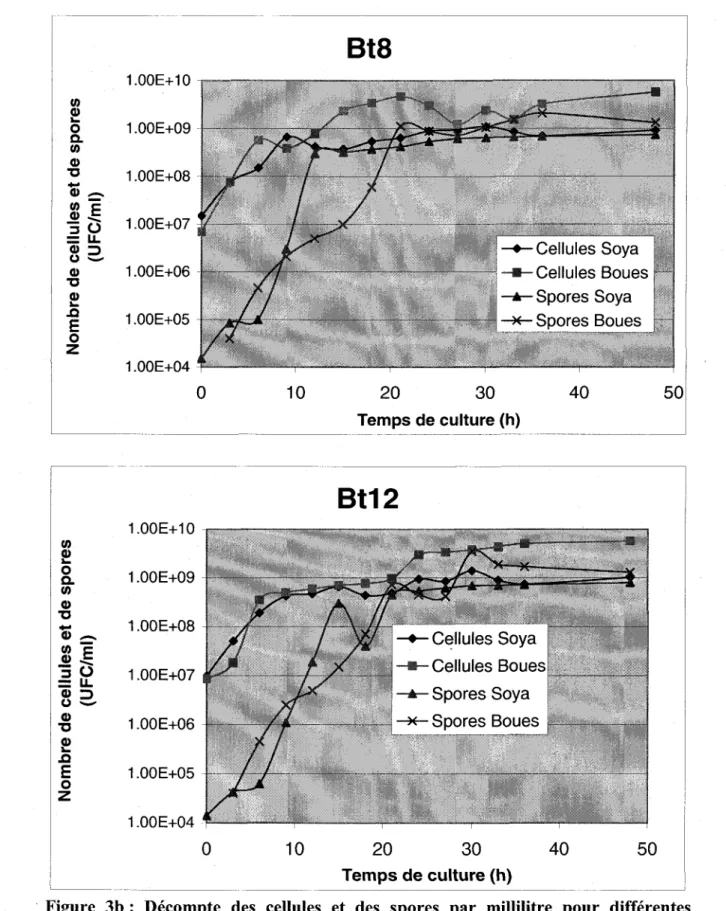 Figure  3b:  Décompte  des cellules et  des spores par  millilitre  pour  différentes souches de Bacillus  thuringiensl's cultivées en milieu  soya et en biosolides dans un fermenteur de 15 litres pendant 48 heures.