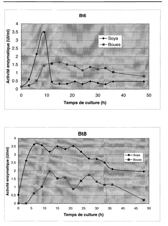 Figure  4b:  Activité  enzymatique  obtenue  pour  différentes  souches de  Bacillus thuringiensis cultivées en milieu  soya et en biosolides dans un fermenteur  de 15 litres pendant 48 heures.