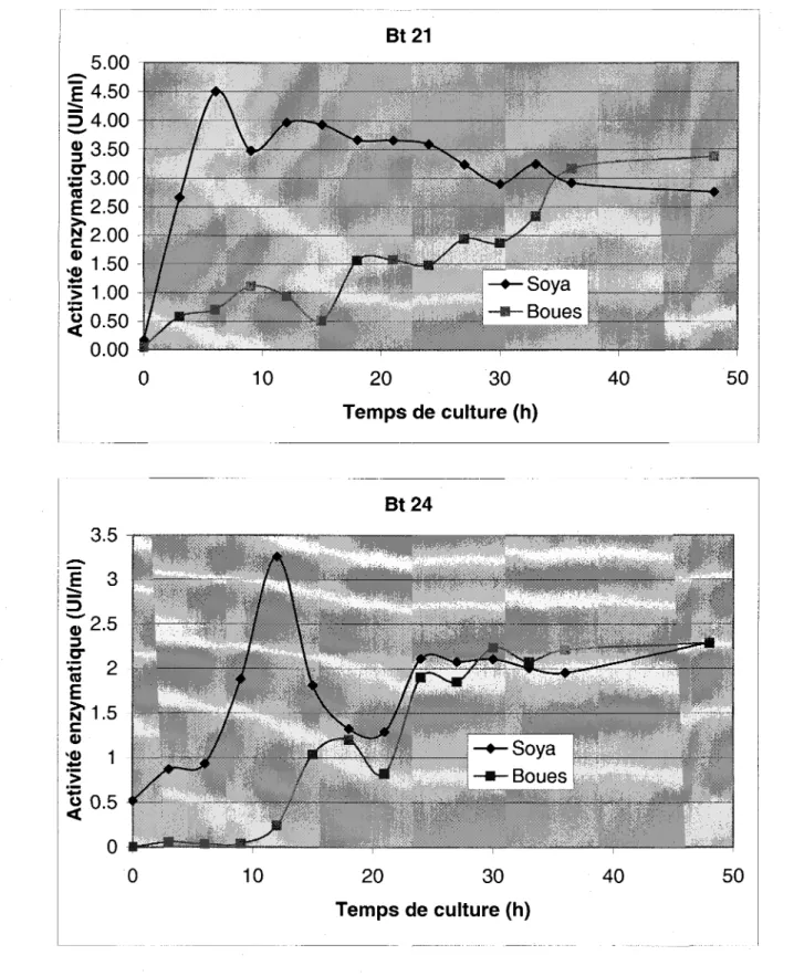 Figure  4d :  Activité  enzymatique  obtenue  pour  différentes  souches de  Bacillus thuringiensis cultivées en milieu soya et en biosolides dans un fermenteur de 15litres pendant 48 heures.ti El lofCT(rEt cNt Oi 