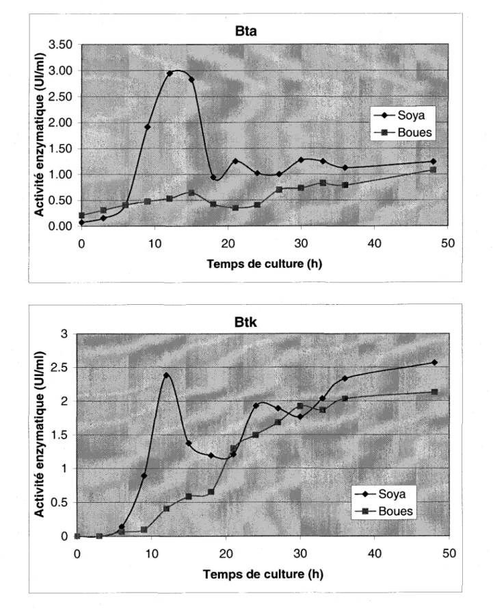 Figure  4e:  Activité  enzymatique  obtenue  pour  différentes  souches de  Bqcillus thuringiensl's cultivées en milieu  soya et en biosolides dans un fermenteur  de 15litres pendant 48 heures.