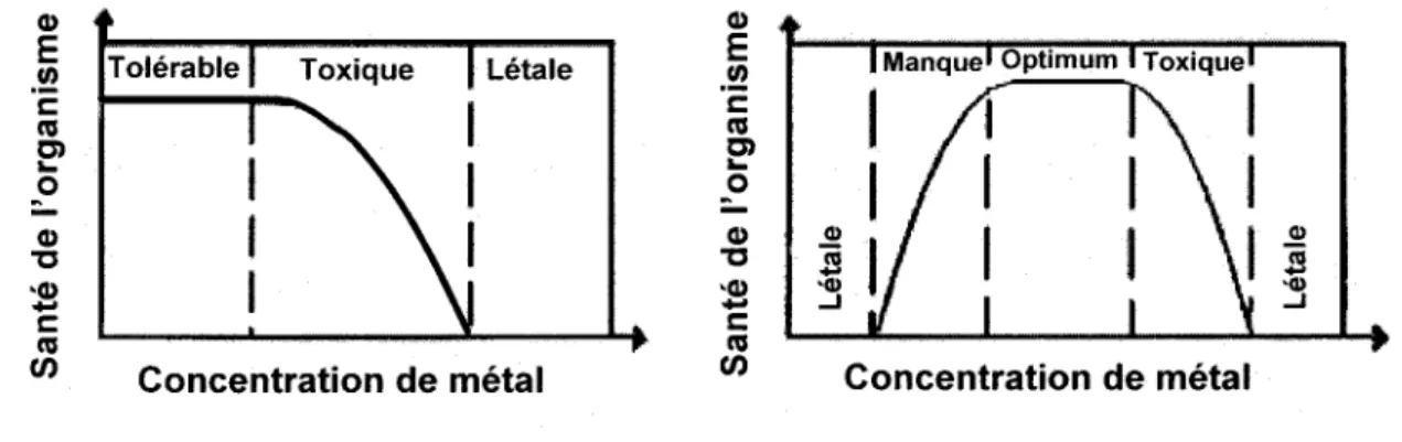 Figure  1.  lmpact sur la santé des organismes  en fonction de la concentration  des métaux essentiels  (A) et essentiels  (B)