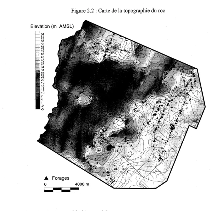Figure 2.2 : Carte  de la topographie  du roc (m AMSL)