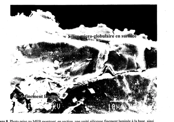 Figure 8. Photo prise au MEB montrant, en section, une unité siliceuse finement laminée  à  la base, ainsi  qu'une unité siliceuse centrale compacte et non-laminée et finalement une couche micro-globulaire en  surface