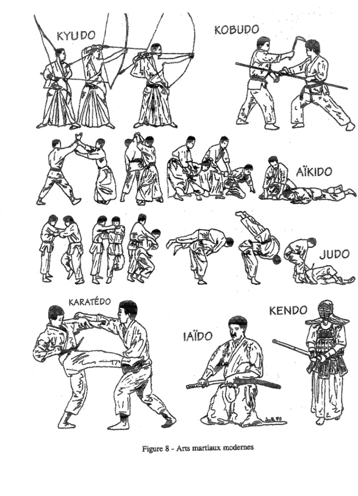 Figure 8 - Arts martiaux modernes 