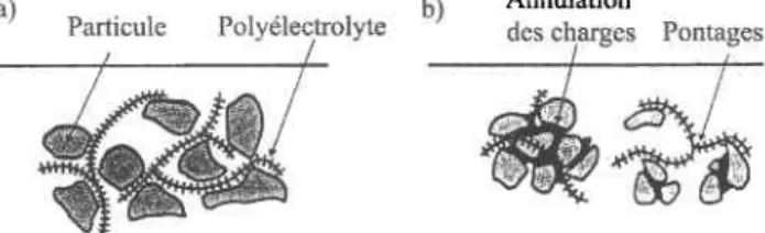 Figure 4 :  Schéma  d'action d'un polyélectrolyte.  a) anionique  b) cationique