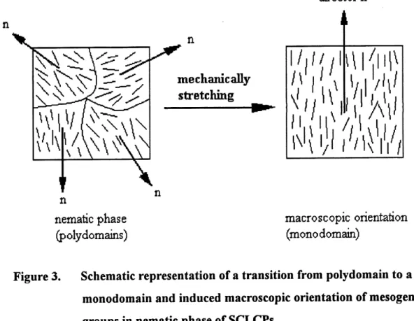 Figure 3. Schematic representation of a transition from polydomain to a monodomain and induced macroscopic orientation of mesogenic groups in nematic phase of SCLCPs.