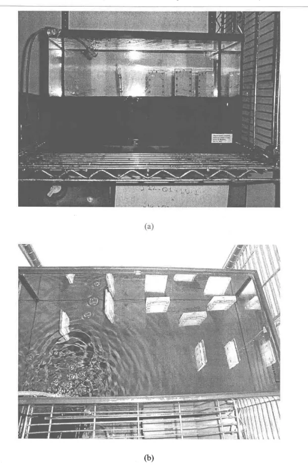 Figure 2.7 :  Représentation du  mésocosme contenant  les  échantillonneurs  installés sédiment du lac Tantaré (a) w  transversallement et (b) r.u d'en haut.