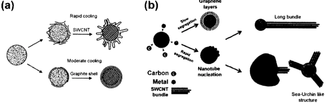 Figure  2.9  (a)  Schematic  o f  the  nucleation  and  growth  o f  SWCNT  in  high  temperature method,  and  (b)  extended  VLS  model