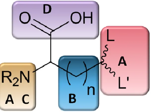 Figure 5 : Représentation schématique du concept de Chélateur à Acide Aminé Unique  (CAAU) 