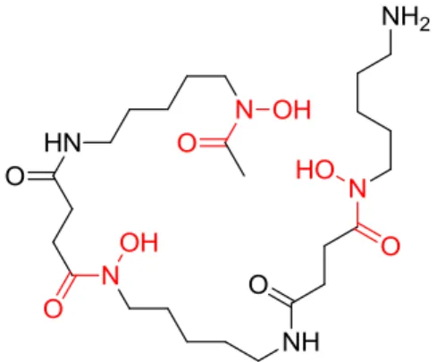 Figure 7 : Structure de la Desferrioxamine B.  