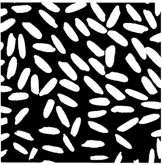 Figure 2.8.  Image de riz  binarisée. 