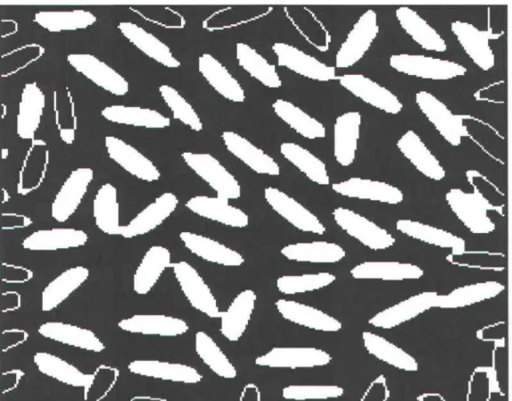 Figure  2.14.  Image binarisée  des  grains de  riz avec  la  méthode segmentation  par  détection des discontinuités