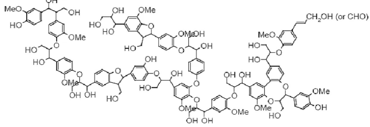 Figure 2.1 Structure de la molécule de lignine ([Arsenault, 2012]) 