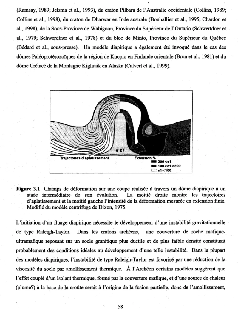 Figure  3.1  Champs  de  déformation  sur une  coupe  réalisée  à  travers  un dôme  diapirique  à  un  stade  intermédiaire  de  son  évolution