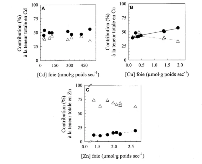 Figure  8.  Relations  entre  les  concentrations  métalliques  dans  le  foie  entier  de  la  perchaude  et la contribution relative  des  fractions  sensible et  détoxiquée  à la teneur  total  en  métal  pour  (A)  le  cadmium  (B)  le  cuivre  et  (C)