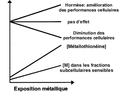 Figure  9.  Le  modèle  classique  de  &#34;spillover&#34;  de  la  MT  (cf.  figure  2,  Section  Introduction)  ne  semble  pas  s'appliquer  aux  organismes  indigènes