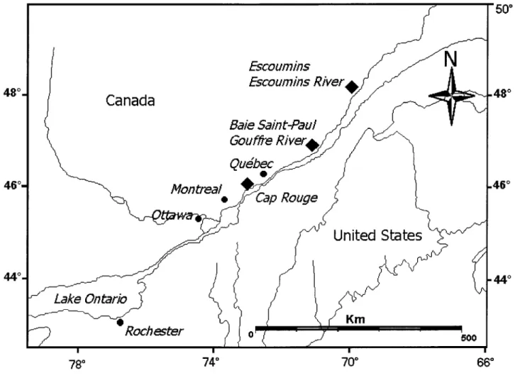Figure 1.  Sampling sites along the St. Lawrence River.