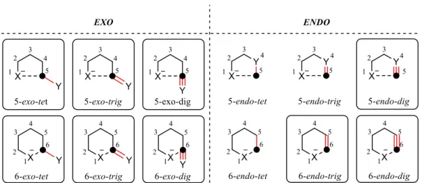 Figure I.2. Description des modes de cyclisation selon Baldwin. 