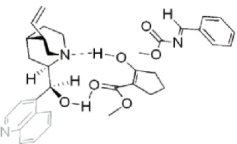 Figure I.9. État de transition de la réaction de Mannich entre l’énol et l’imine catalysée par la  cinchonine