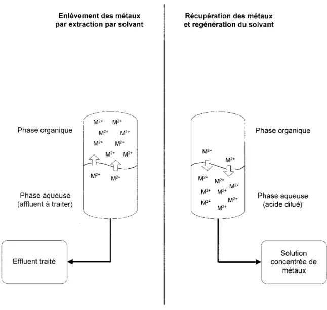 Figure 4 Schéma dc principc dc I'cnlèyement dcs métaux par extraction par solvant