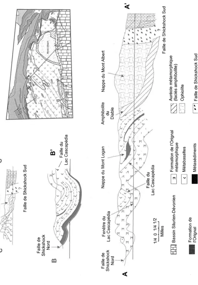 Fig. 2.9: Coupes structurales de la zone de Humber interne dans la partie est de Ia zone