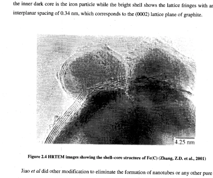 Figure 2.4 HRTEM images showing the shell-core structure of Fe(C) (Zhang, Z.D. et al., 2001) 