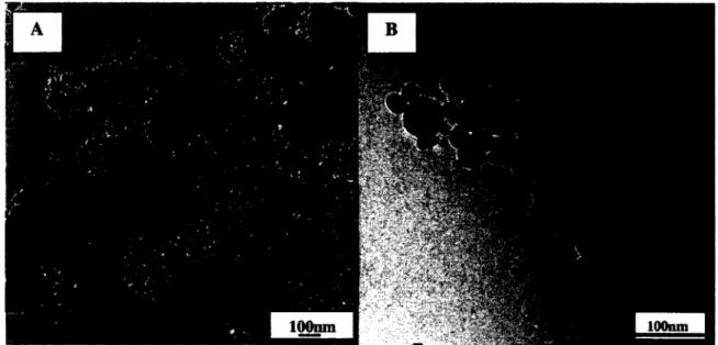 Fig. 36 TEM picture of as-synthesized  pure LSCF6428 nanopowder; magnifications of X50k  (A) and X200k (B) 