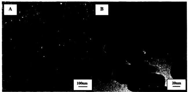Fig. 44 TEM pictures of as-synthesized GDC3/LSCF7  nanopowder; magnifications of XI 00k  (A) and X400k (B) 