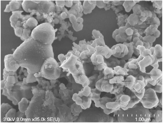 Figure 3.4 Image au MEB montrant l’agglomération et l’évolution de la surface des  particules suite au recuit  