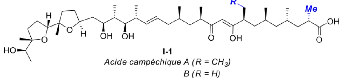 Figure I-2 : Acides campéchiques A et B 