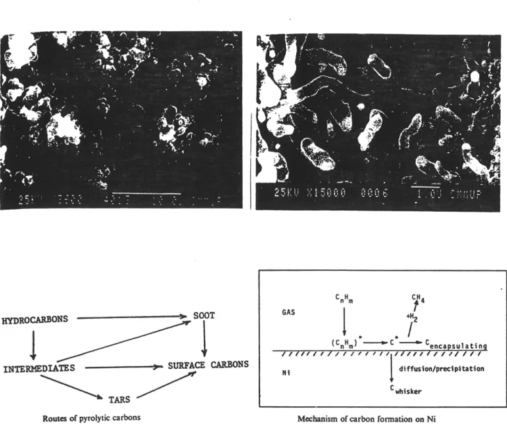 Fig 2.12 Morphologie et mecanismes de formation de coke pyrolytique et catalytique