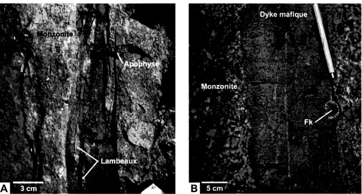 Figure 9. Structures  macroscopiques  des dykes mafiques  et intermédiaires  du Complexe  de Matamec.