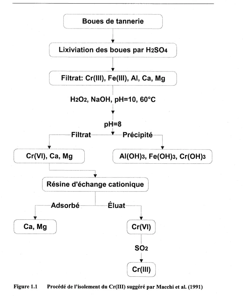 Figure 1.1.  Procédé de loisolement du Cr(IIf  suggéré par Macchi et al. (1991)