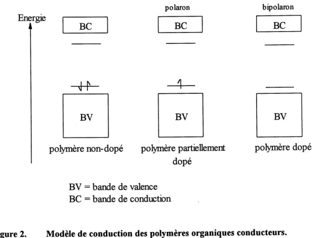 Figure 2. Modele de conduction des polymeres organiques conducteurs.