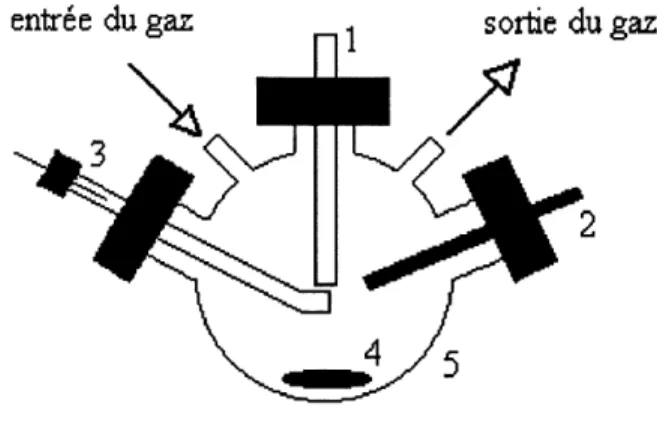 Figure 3. CeIIule de voltamperometrie cyclique. 1-electrode de travail2-electrode auxiliaire 3-electrode de reference4-barreau magnetique5-cellule Electropolymerisation