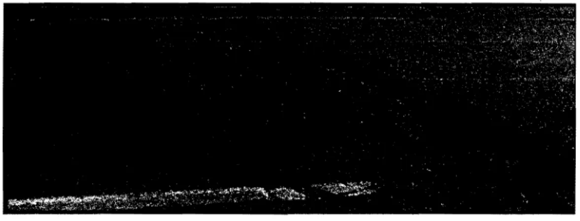 Figure 1 Exemp]e de détérioration de chaussée. 