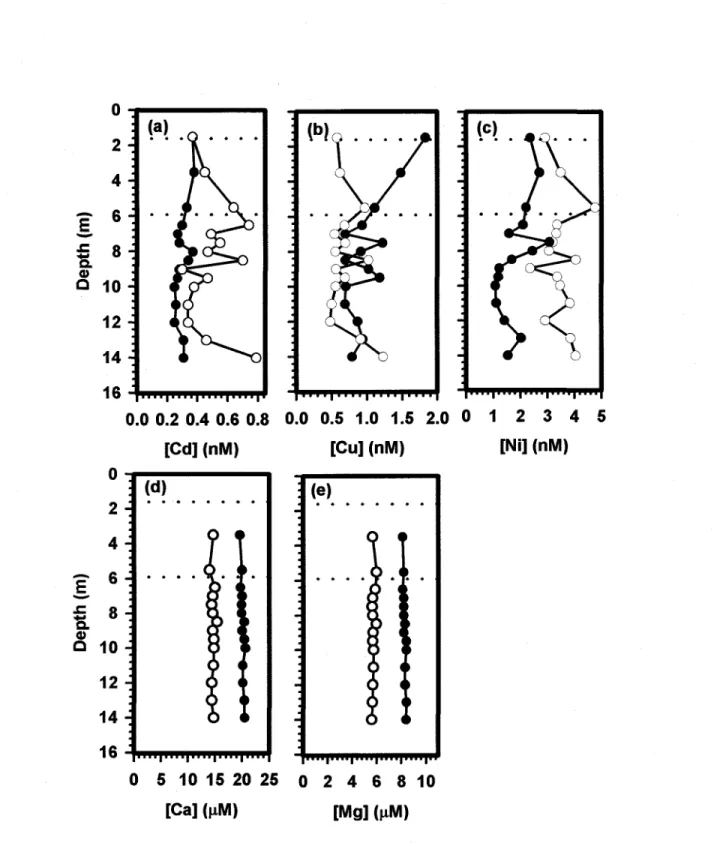 Figure 3.  Comparison of Cd (a),  Cu (h),  Ni  (c),  Ca (d) and  Mg (e)  concentration profiles  measured hy DGT (0 )  and in situ dialysis (  •  ) in the L