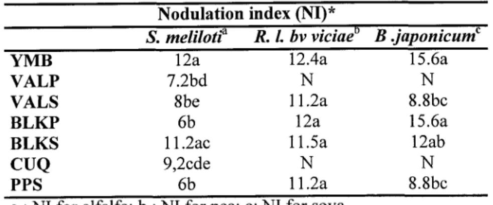 Table  6.  Nodulation capacity of rhizobia strains produced in different sludges Nodulation index (NI)*